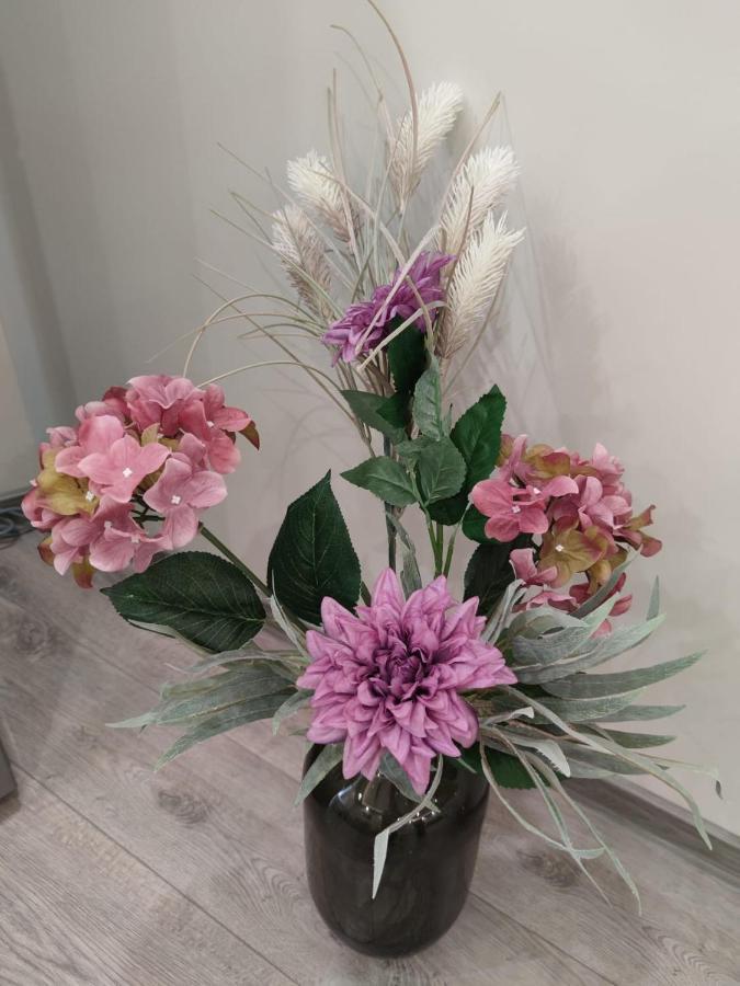 Flowers Apartment 도브리치 외부 사진